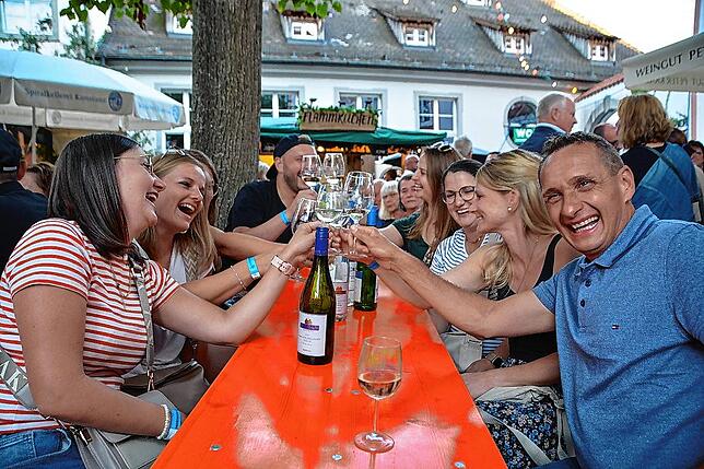 Bild 11: Die schönsten Bilder vom Bodensee-Weinfest in Meersburg