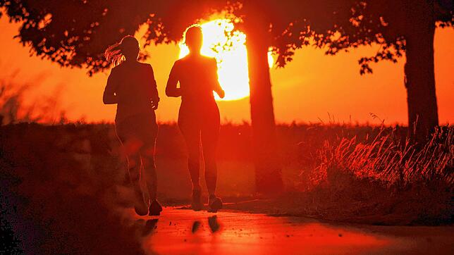 dpatopbilder – 22.06.2025, Baden-Württemberg, Uttenweiler: Zwei Frauen joggen am Morgen, während hinter ihnen die Sonne auf geht Foto: ...