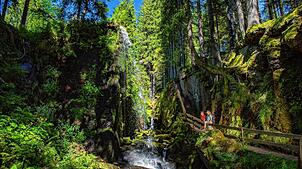Der Albsteig Schwarzwald führt auf 83 Kilometern entlang der sprudelnden Alb. Die Wanderung führt von Albbruck zu den Quellen am ...