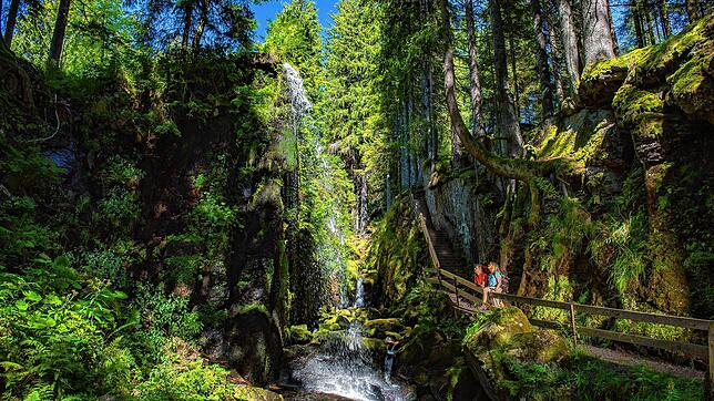Der Albsteig Schwarzwald führt auf 83 Kilometern entlang der sprudelnden Alb. Die Wanderung führt von Albbruck zu den Quellen am ...