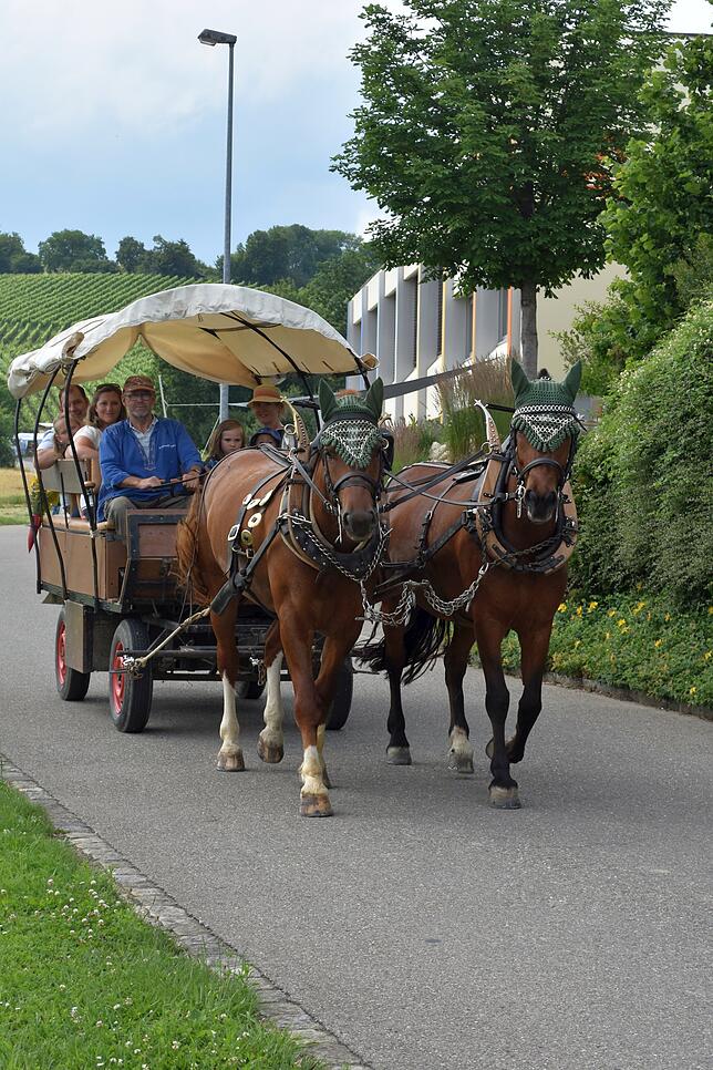 Beim Traubenblütenfest werden die Besucher der Erzinger Nachbargemeinde Trasadingen kostenlos durch den Rebberg kutschiert. Bild: Güntert