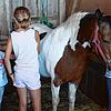 Nach getaner Arbeit durften die Kinder die Pferde auf dem Behringerhof auch striegeln und streicheln. Bild: Reinhard Herbrig