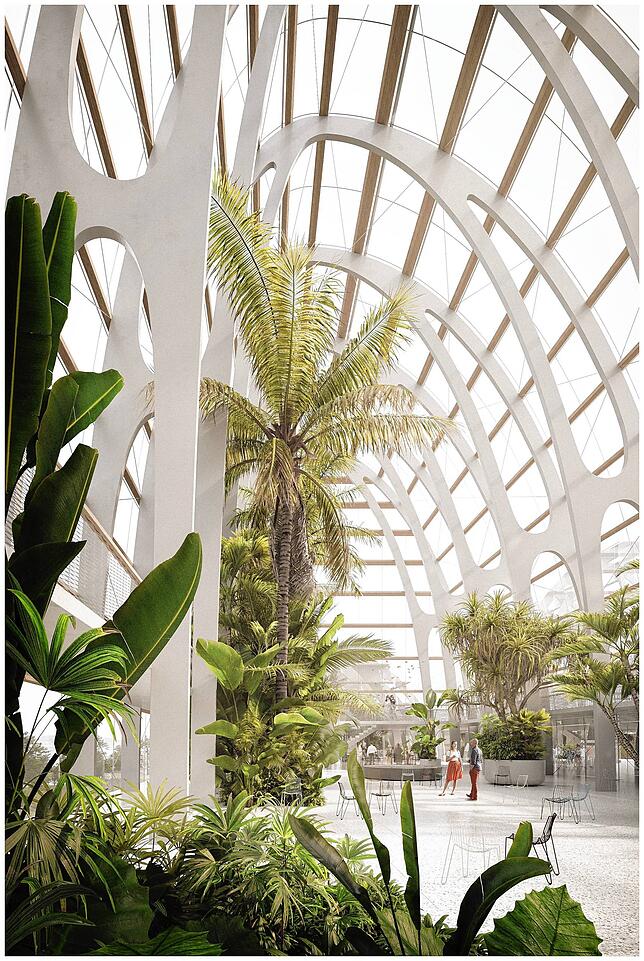 Bild 1: Wie die Mainau 2040 aussehen soll: Ist das der Blick ins Palmenhaus der Zukunft?