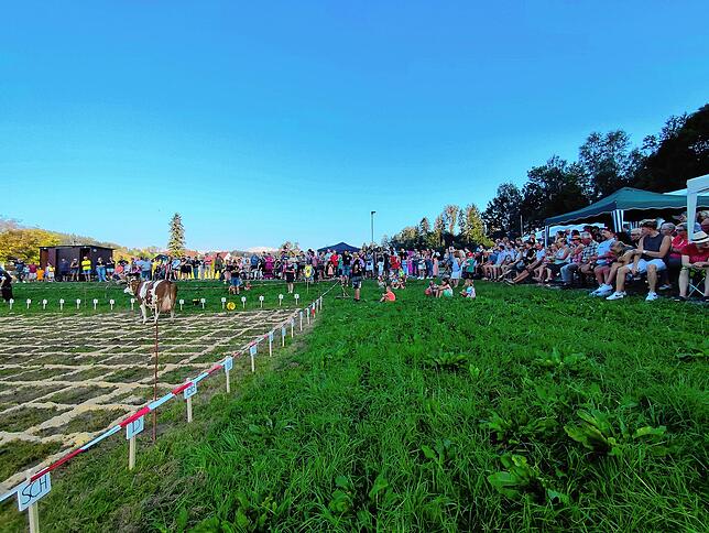 Bild 9: Bilder von der 21. Kuhschisslotterie der Taubenriedgärtner aus Seelfingen