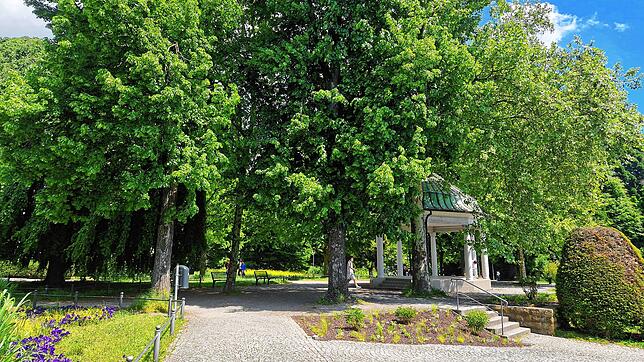 Hier am Pavillon sollen Gäste eigentlich jeweils donnerstags bis sonntags verköstigt werden. Doch geht es an diesem Standort wirklich ...