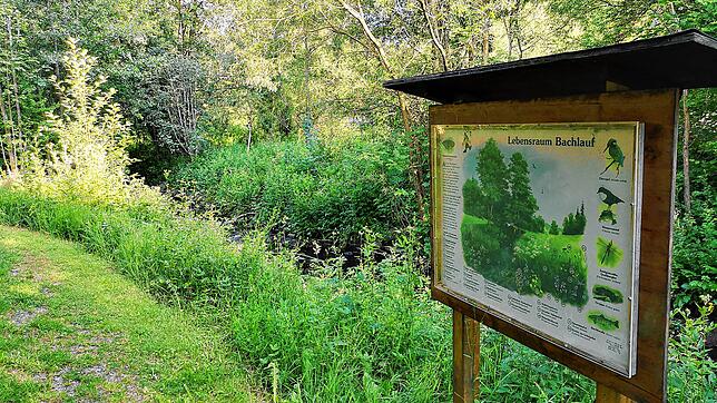 Der Unterkirnacher Wildpflanzenpark ist ein Paradebeispiel für einen geschützten Lebensraum von Tier- und Pflanzenwelt. Künftig sollen ...