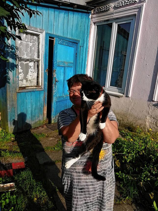 Das Foto der verdatterten Katze von der Reise nach Kaliningrad und durch das Kurland im Jahr 2018.