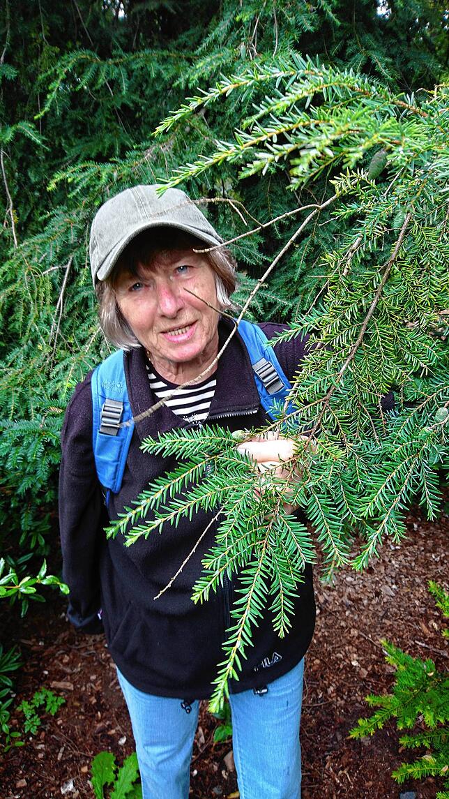Ellen Hecktor aus Düsseldorf dreht gerne abends noch eine Spazierrunde am Gehrenberg.