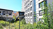 In der Hochrhein-Eggberg-Klinik (Bild) sollten 2015 eigentlich Seniorenwohnungen eingerichtet werden. Das Projekt scheiterte. Eine ...