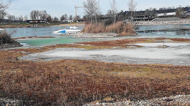 Der Wasserstand ist immer noch deutlich zu niedrig, ist gegenüber Mitte Dezember 2020 schon um fast einen halben Meter gestiegen.