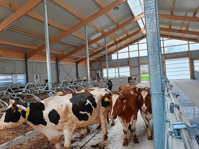 Nach der Ankunft in dem neuen Stall haben die Tiere zuerst ihre neue „Wohnung“ begutachtet.