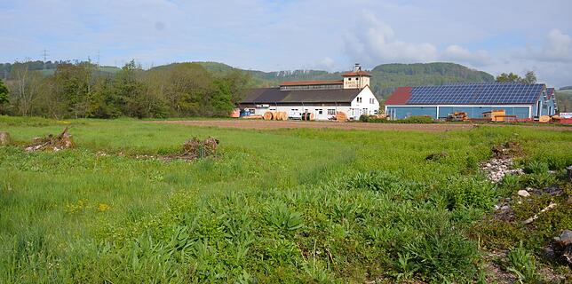 Auf dieser Grünfläche südlich der Firma Klefenz in der Tiengener Straße, die derzeit noch landwirtschaftlich genutzt wird, soll nach ...