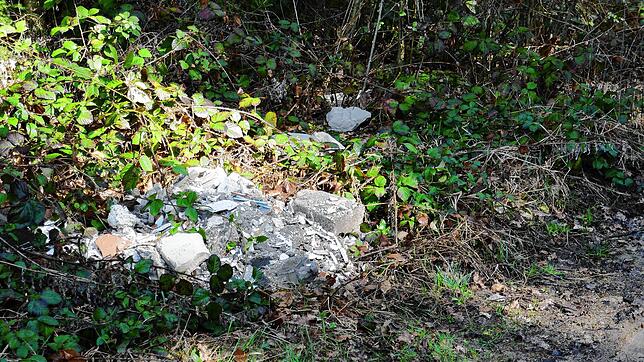 Derartige Bauschuttentsorgung findet sich an mehreren Stellen entlang der Waldränder in Überauchen. Bild: Jörg-Dieter Klatt