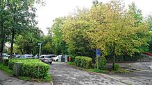 Enttäuschung: Die Wobak hat sich aus dem Projekt Ortsmitte Dettingen zurückgezogen. Der Parkplatz und der öde Dorfplatz (rechts) sowie ...