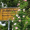 Bild :