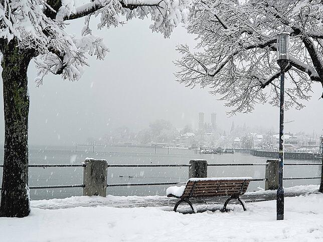 Bild 8: Was für ein Wintereinbruch am Bodensee: Die schönsten Schnee-Bilder vom Wochenende