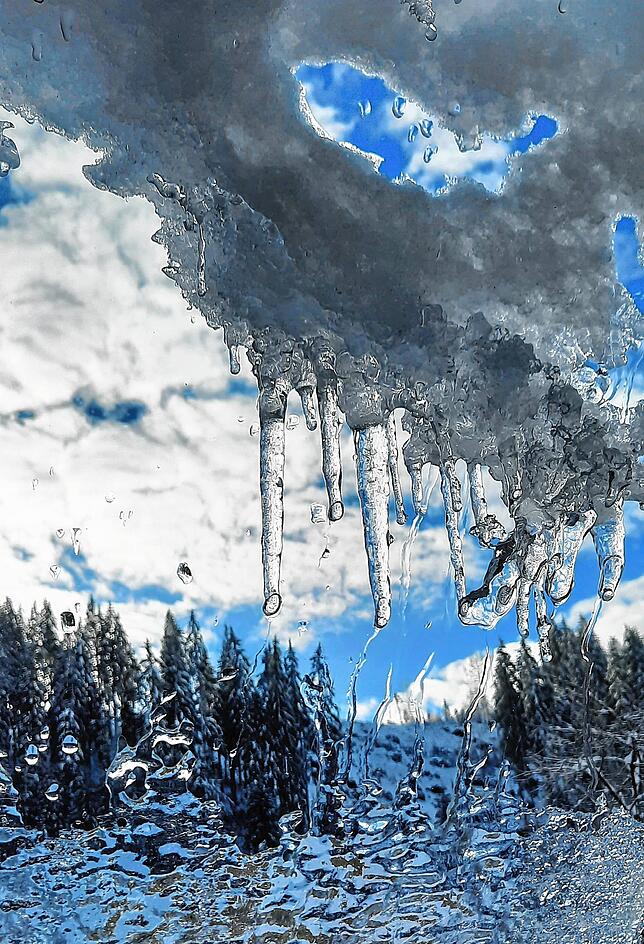 Das glasklare Eis mit den kleinen Zapfen bildet eine reizvolle Kombination mit dem Nadelbäumen und dem blauen Himmel auf diesem Foto aus ...