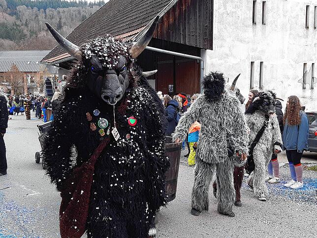 Bild 25: Die schönsten Bilder vom großen Habufa-Umzug in Hasel (2)
