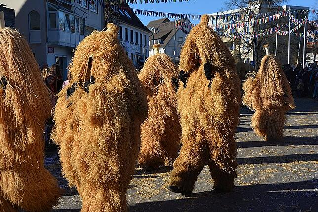 Bild 22: Bilder vom Narrentreffen der Urviecher-Zunft Bad Dürrheim: Großer Festumzug (3)