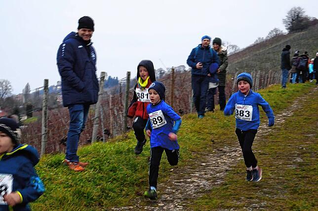 Bild 22: Bilder vom Crosslauf Hegau-Bodensee in den Reben oberhalb der Haltnau