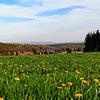 Diese 2,5 Hektar große Fläche im Unterkirnacher Gewann Ackerloch soll auch künftig landwirtschaftliche Nutzfläche bleiben und nicht ...