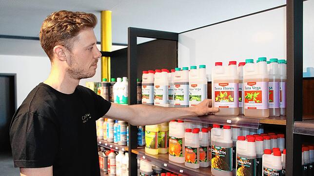 In seinem Growshop verkauft Christopher Ölberg alles rund um den Anbau und Konsum von Cannabispflanzen – zum Beispiel Flüssigdünger. Nur ...