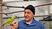 Auf Du und Du mit dem Papagei: Uli Weisser ist inzwischen Experte für die prächtigen Vögel. Rund 500 Exemplare leben in seinem ...