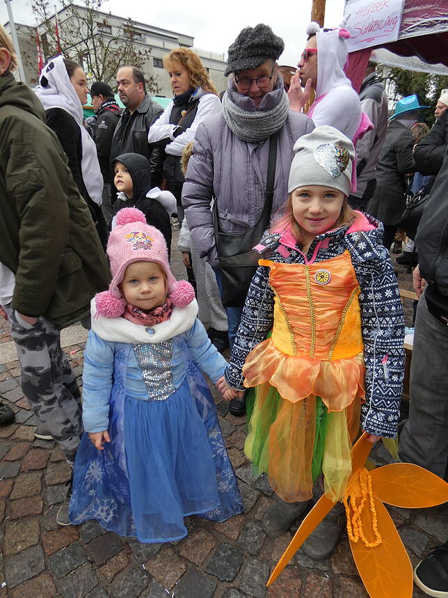 Bild 7: Bilder vom Narrentreffen in Albbruck