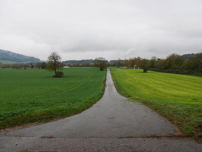 Bild 6: Hier könnte die Stadt noch wachsen: Die acht wichtigsten Flächen für eine bauliche Entwicklung Bad Säckingens