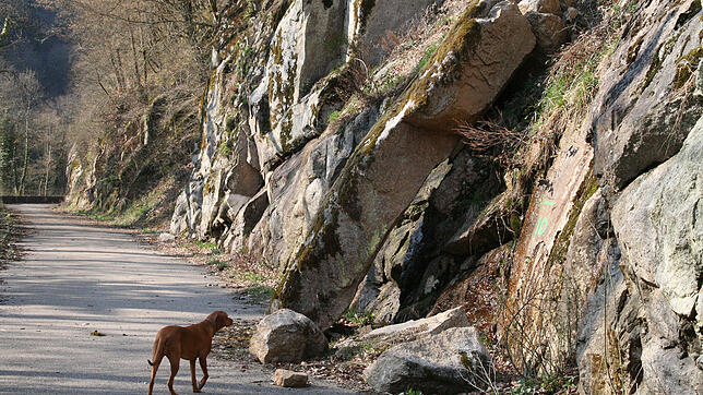 Seit mehr als drei Jahren fuhr auf der Albtalstraße kein Auto mehr. Die Straße ist zwischen Hohenfels und der Tiefensteiner Brücke wegen ...