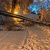 Nachdem schon am Donnerstagabend ein Baum die Obere Haspelstraße in Waldshut versperrte, musste die Feuerwehr auch am Freitagmorgen ...