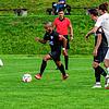 Bild :