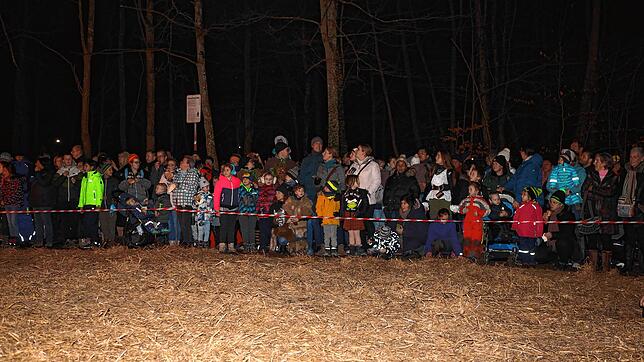 Bild 7: Konstanzer Fasnacht: Im Uniwald tanzen Narren und Mäschgerle am Feuer