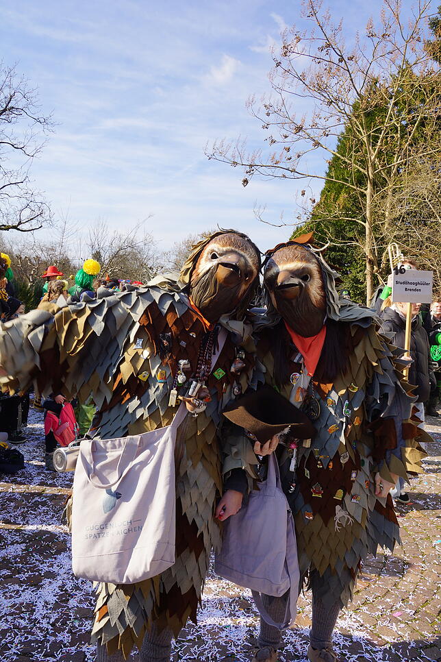 Bild 4: Küssaberger Narrentreffen 2025: Rheinheim feiert Fasnacht