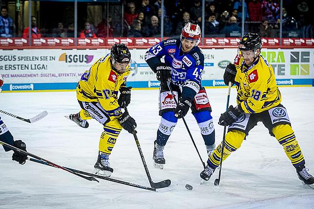 Bild 25: Bilder: Wild Wings vs. Krefeld Pinguine
