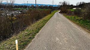 Hier soll die Busspur zwischen Kaiseraugst und Rheinfelden durchführen (im Hintergrund der Augarten). Foto: Valentin Zumsteg
