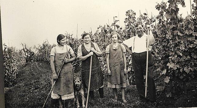 Harte Arbeit auf dem Land: Familie Ruggli zwischen Reben in den Weinbergen.