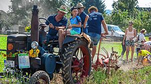 Ein historischer Traktor mit Kartoffelroder im Einsatz. Die Besucher und Besucherinnen können beim Ernteeinsatz mitmachen und Feldarbeit ...