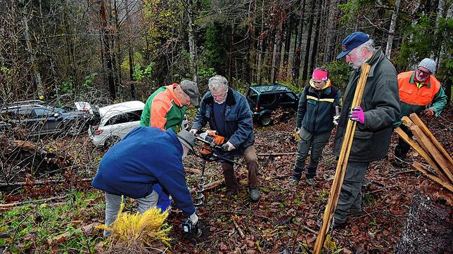 Am Freitagvormittag begann die Pflanzaktion im Höchenschwander Wald. Bei der mehrtägigen Aktion wurden rund 500 Setzlinge in einem ...