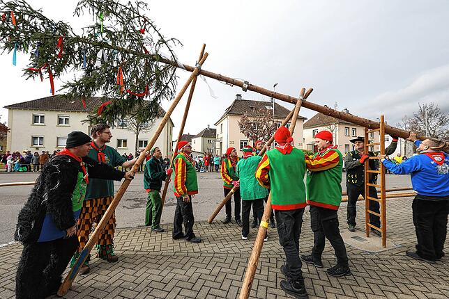 Bild 9: Bilder des Narrenbaumstellens der Froschenzunft Radolfzell