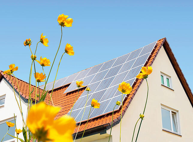 Solaranlage auf einem Hausdach, davor Blumen.