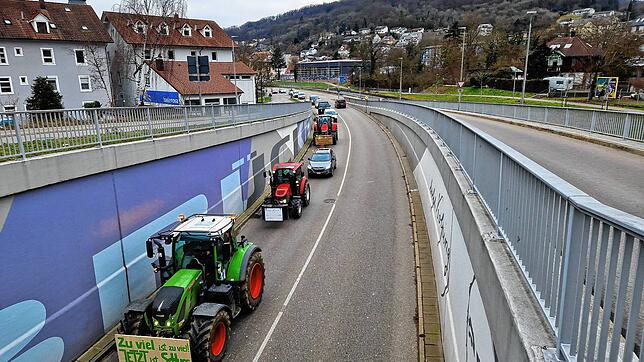 Lange Staus verursachten am Montag zahlreiche Bauern auf dem Weg zur Kundgebung in Horheim, wie hier in Waldshut in Fahrtrichtung ...