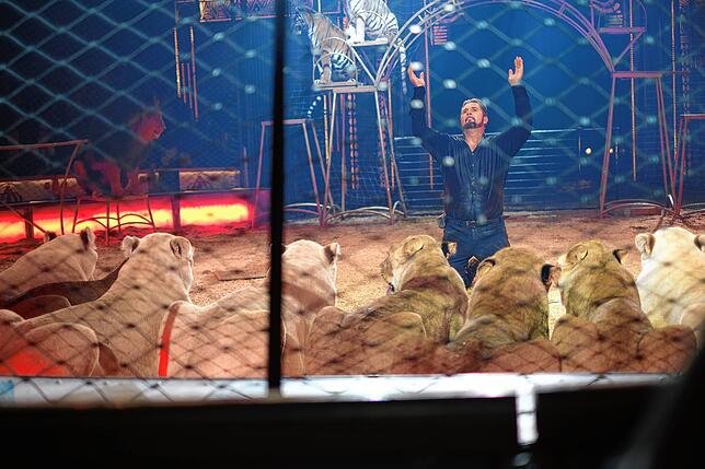 Bild 24: Circus Krone in Konstanz: Eindrücke vom glanzvollen Premierenabend der Manege – die besten Bilder!