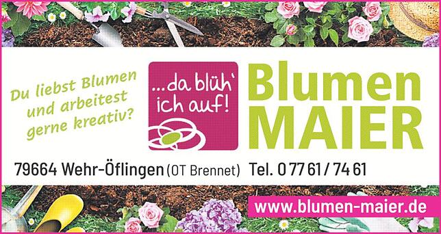 Bild 3: Ausbildungsmesse Wehr: Angebot und Nachfrage an einem Ort