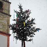 Narrenbaum. Vorbild in Bad Säckingen.