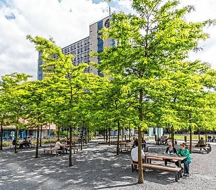 Der Conti-Platz in Hannover.