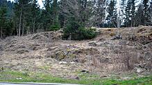 Noch ein Bauplatz ist im Baugebiet Dreherhauswiese frei. Die Stadt sucht nach einem potenziellen Käufer. Foto: Christiane Sahli