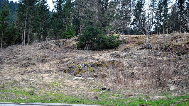Noch ein Bauplatz ist im Baugebiet Dreherhauswiese frei. Die Stadt sucht nach einem potenziellen Käufer. Foto: Christiane Sahli
