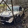 Im Wald kam das Unfallfahrzeug zum Stillstand.