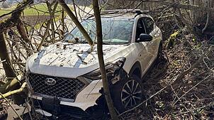 Im Wald kam das Unfallfahrzeug zum Stillstand.